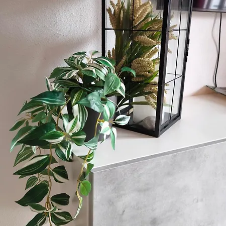 Διαμέρισμα Casa Sol Y Sal Fuerteventura La Oliva