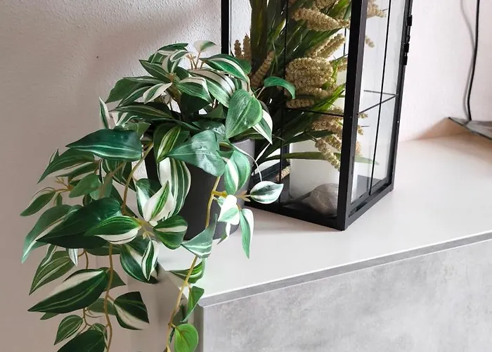 Apartment Casa Sol Y Sal Fuerteventura La Oliva